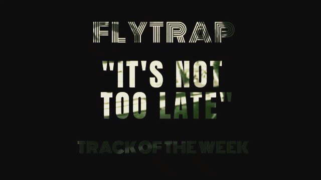 Flytrap Track of the Week artwork