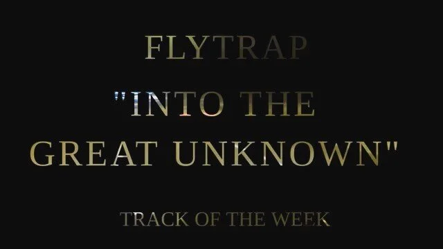 Flytrap Track of the Week artwork