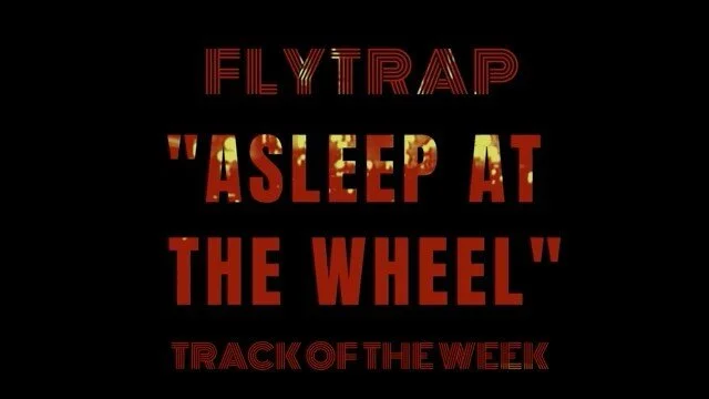 Flytrap Track of the Week artwork