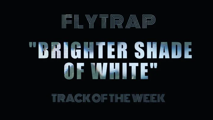Flytrap Track of the Week artwork