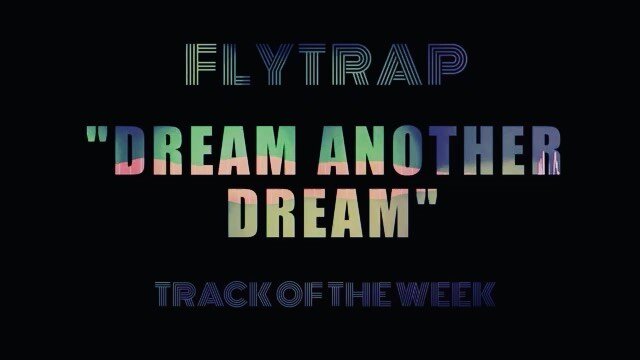 Flytrap Track of the Week artwork